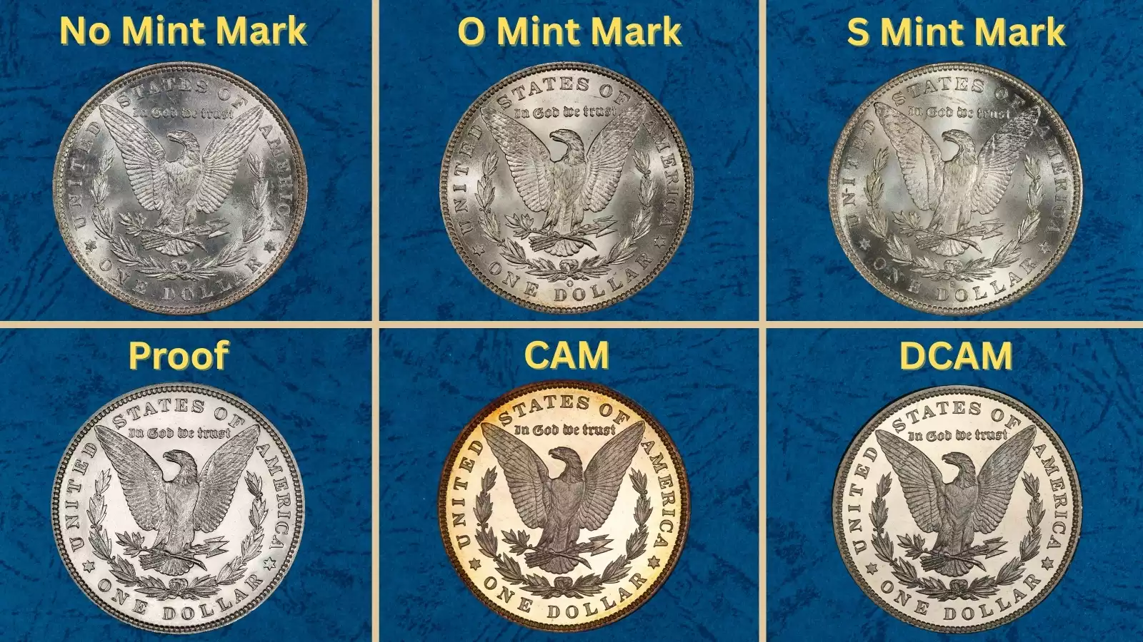 Group of 1886 Morgan silver dollars from Philadelphia, New Orleans, and San Francisco mints showing mint mark varieties