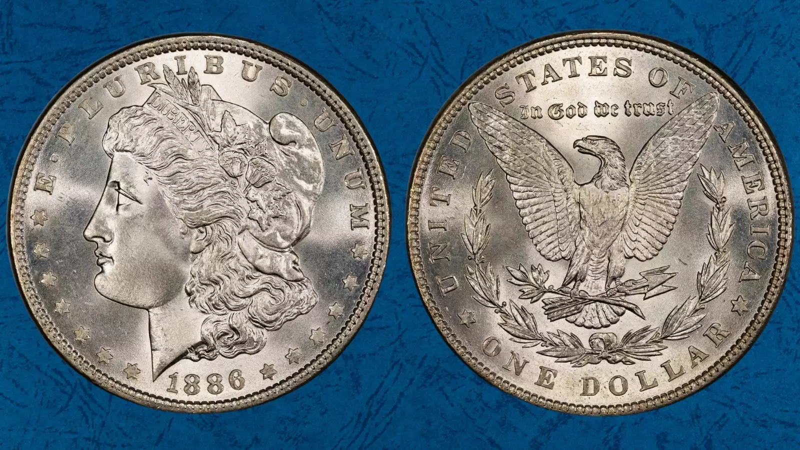 Grading strip showing four 1886 Morgan dollars in worn, circulated, uncirculated, and gem condition for comparison